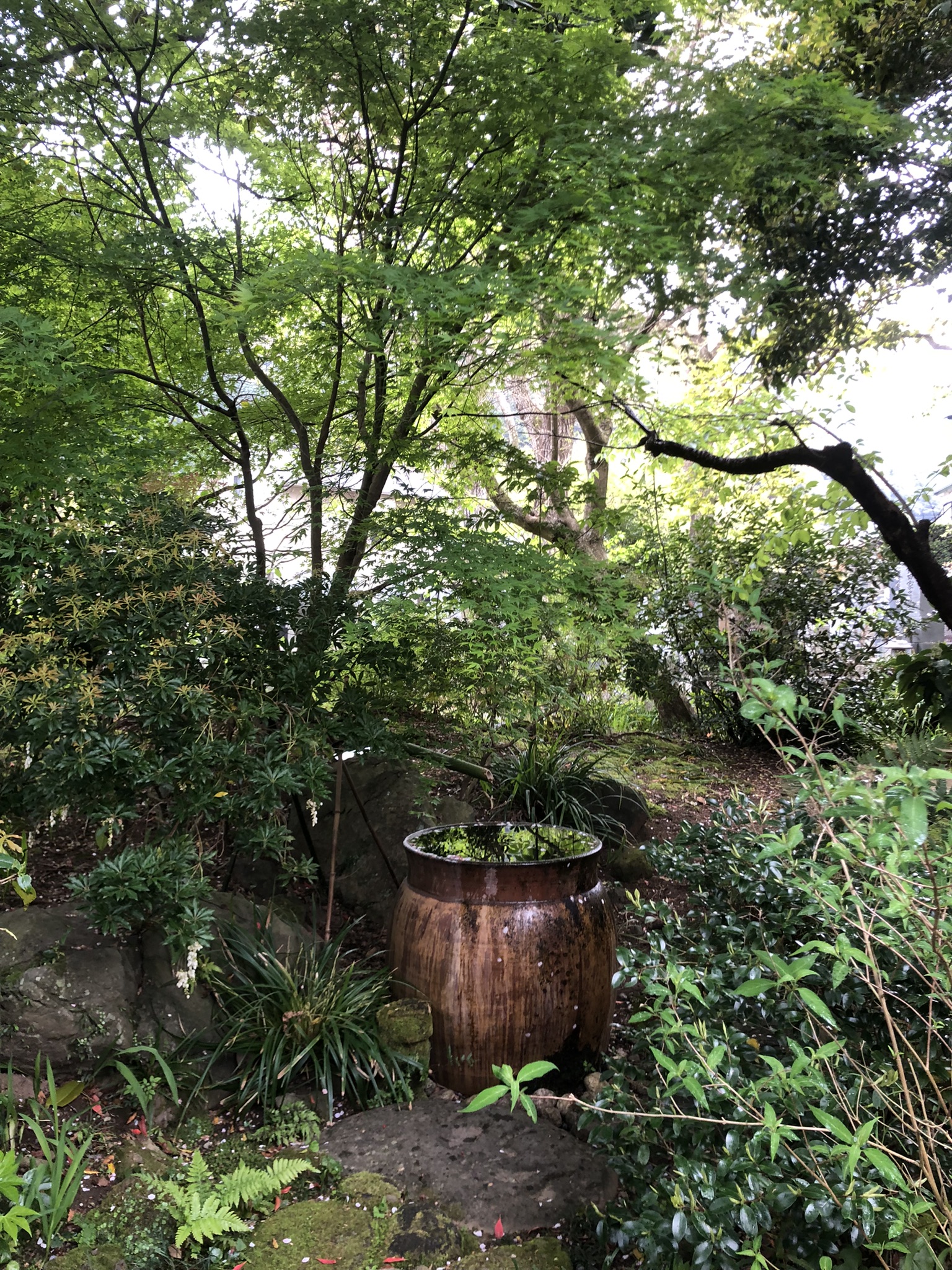 Jardin d'un sanctuaire shinto spiritualité japonaise